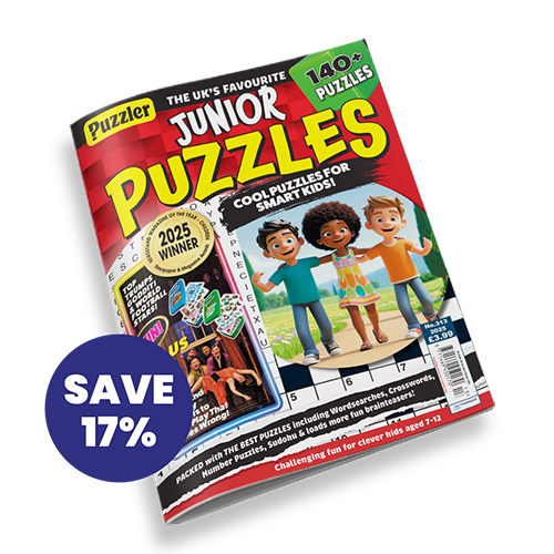 Junior Puzzles